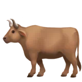 소 — Apple