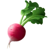 뿌리 채소 — Apple