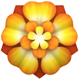 Rosette — Apple