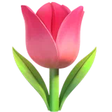 Tulip — Apple