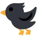 검은 새