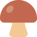 갈색 버섯