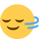 머리가 수평으로 흔들림