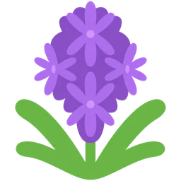 Hyacinth — Discord