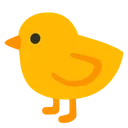 아기 병아리