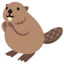 비버