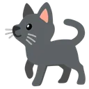Black Cat