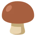 Brown Mushroom