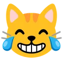 기쁨의 눈물을 흘리는 고양이