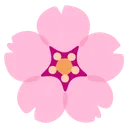벚꽃
