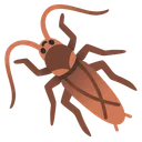 바퀴벌레