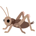 크리켓