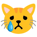 우는 고양이