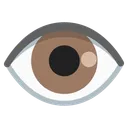 눈