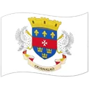Flag: St. Barthélemy