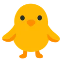 앞을 향한 아기 병아리