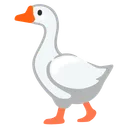 거위