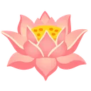 연꽃