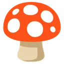 버섯