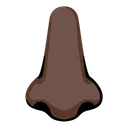 코: 어두운 피부 톤