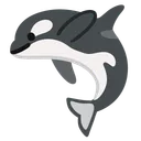 Orca
