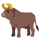 소
