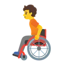Person in Manual Wheelchair