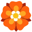 Rosette