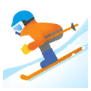 Skier
