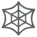 Spider Web