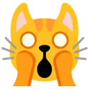 지친 고양이