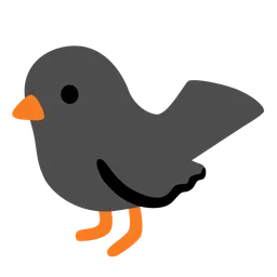Black Bird — Google