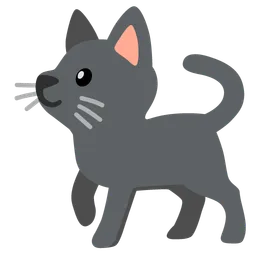 Black Cat — Google