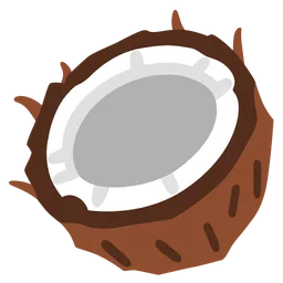 Coconut — Google