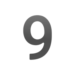 Digit Nine Google