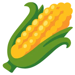 Ear of Maize — Google
