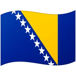 Flag: Bosnia & Herzegovina — Google