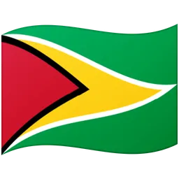 Flag: Guyana — Google