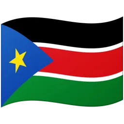 Flag: South Sudan — Google