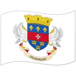 Flag: St. Barthélemy — Google