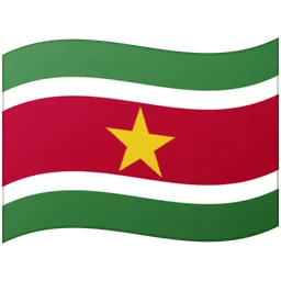 Flag: Suriname — Google