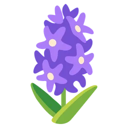 Hyacinth — Google