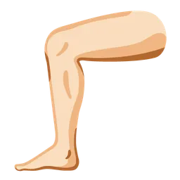 Leg: Light Skin Tone — Google
