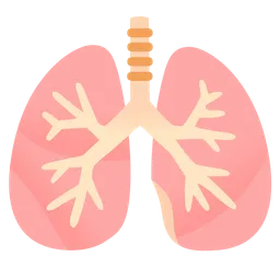 Lungs — Google