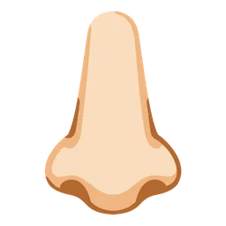 Nose: Light Skin Tone — Google
