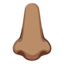 Nose: Medium Skin Tone — Google