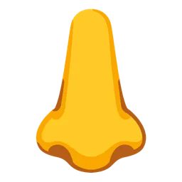 Nose — Google