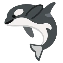 Orca Google