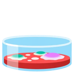 Petri Dish — Google