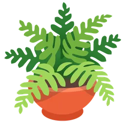 Potted Plant — Google